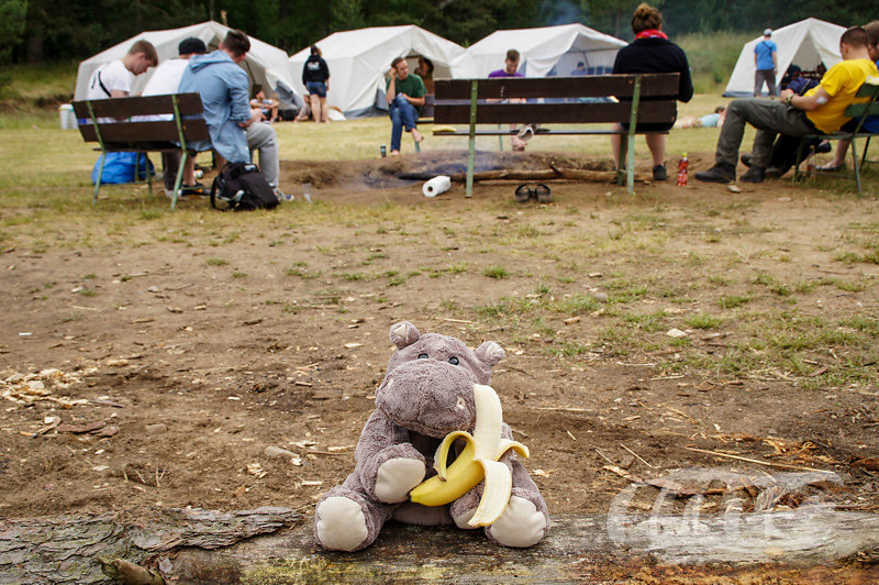 jmc2014-FotoDigital-36.jpg