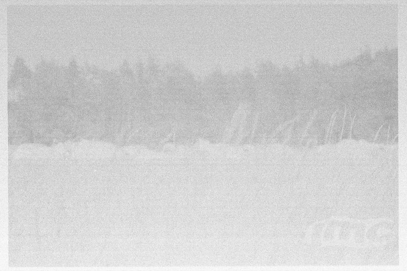 jmc2015-photoanalog-191.jpg