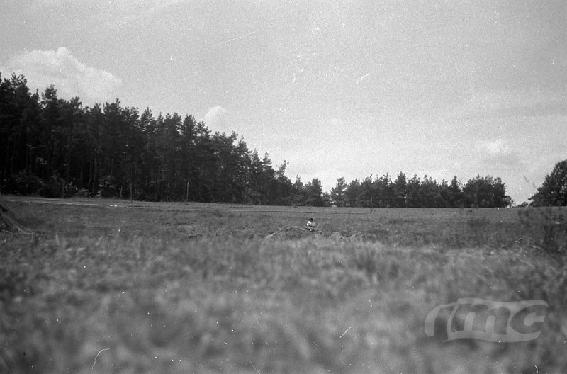 jmc2015-photoanalog-11.jpg